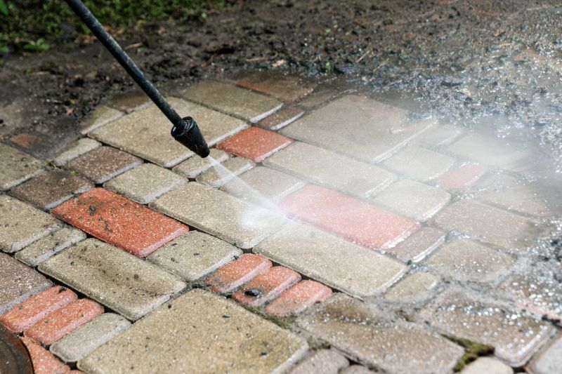 Sparkling Clean Pavers